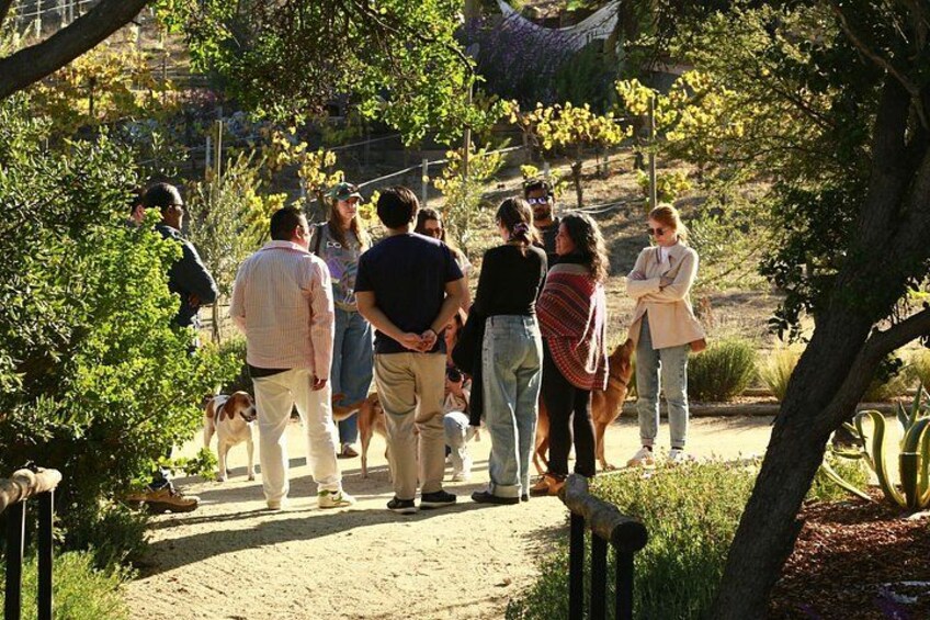 A group of people walking on a dirt path in a park with trees and greenery. 2