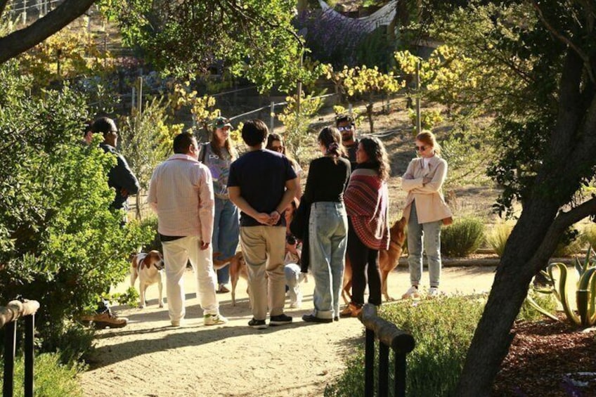 4 Exclusive & boutique wineries in Casablanca - Tanino Restaurant 5