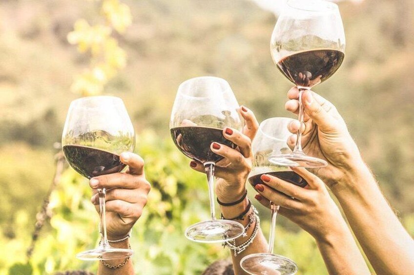 Half Day Trip to Undurraga Vineyard from Santiago - Wine Tasting Included 4
