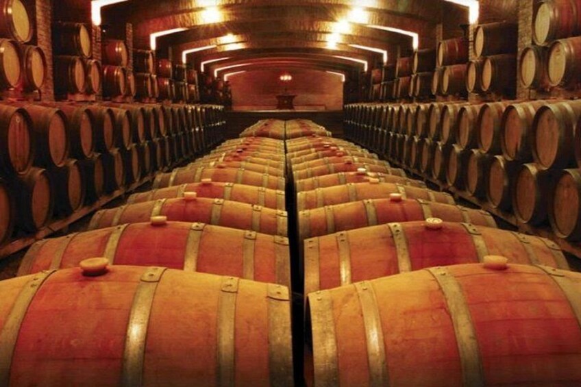 Half Day Trip to Undurraga Vineyard from Santiago - Wine Tasting Included 3