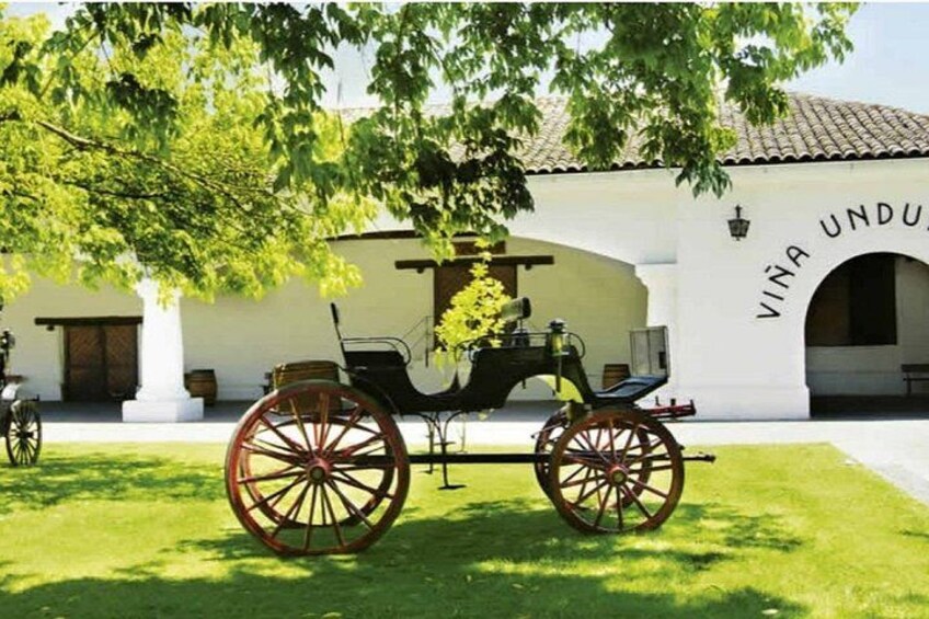 Half Day Trip to Undurraga Vineyard from Santiago - Wine Tasting Included 5
