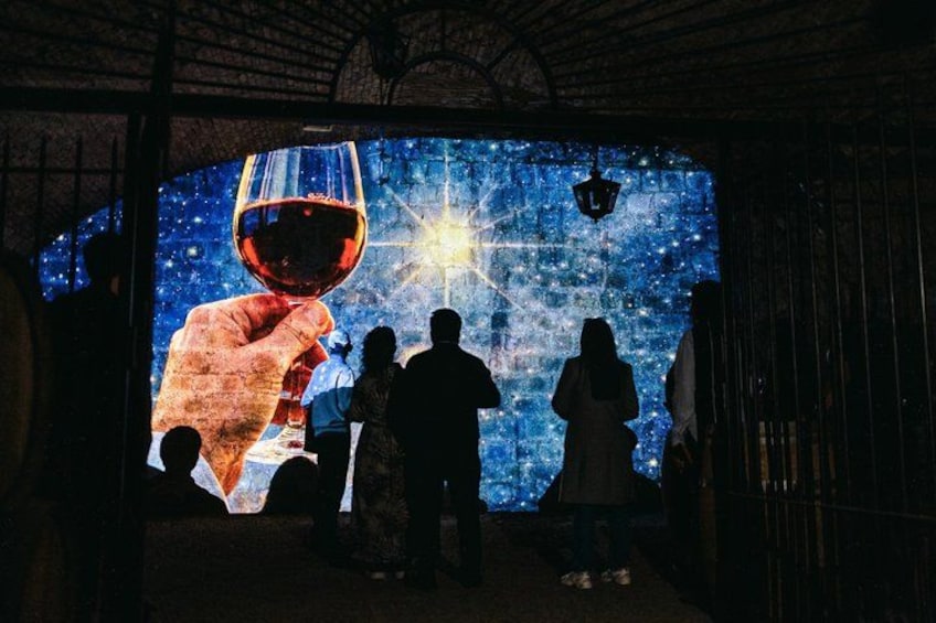 Discover Santiago: Tourist Bus, Cerro San Cristobal and Wine 5