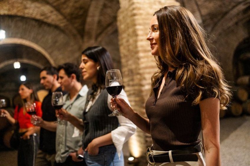 Discover Santiago: Tourist Bus, Cerro San Cristobal and Wine 1