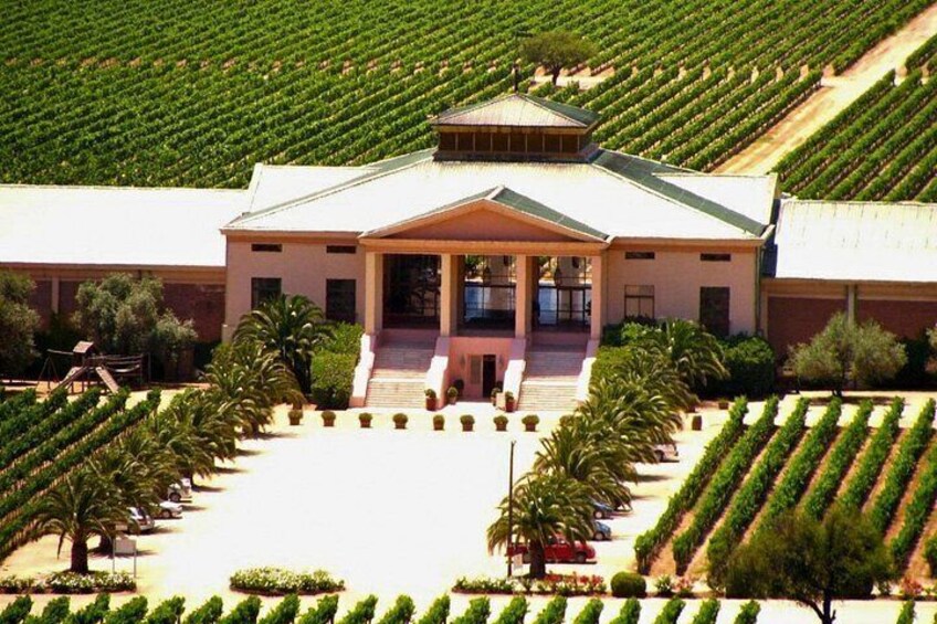 Tour to Valparaíso, Viña del Mar, Pablo Neruda Museum and Vineyard 5