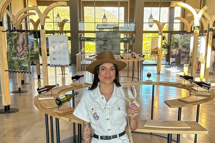 Tour to Valparaíso, Viña del Mar, Pablo Neruda Museum and Vineyard 3