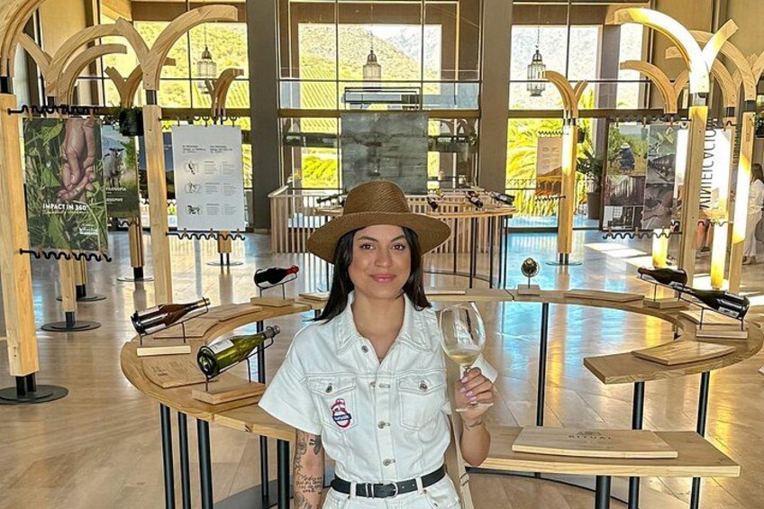 Tour to Valparaíso, Viña del Mar, Pablo Neruda Museum and Vineyard 4