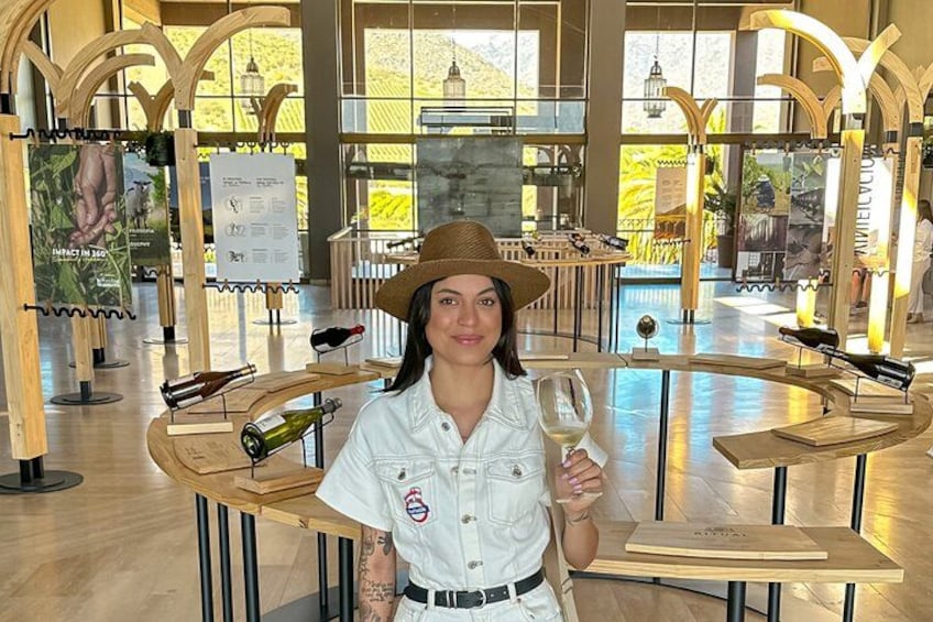 Tour to Valparaíso, Viña del Mar, Pablo Neruda Museum and Vineyard 5