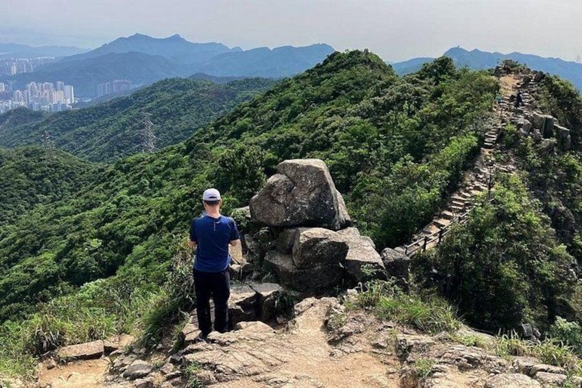 Half-day Hiking Tour in The Green to Lion Rock in Hong Kong 2