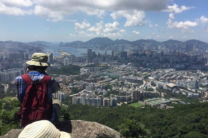 Half-day Hiking Tour in The Green to Lion Rock in Hong Kong 1