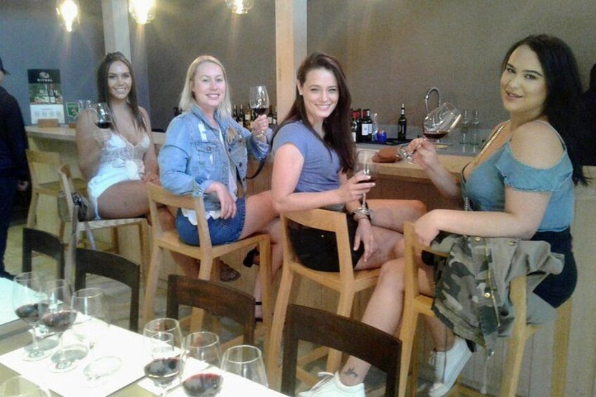Wine Tour and Santiago City in a Small Group 1