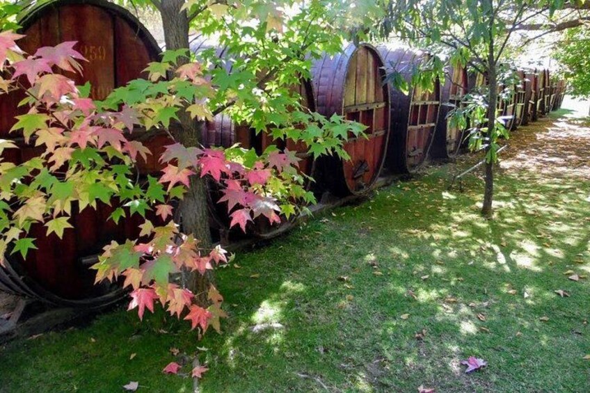 Wine Tour and Santiago City in a Small Group 4