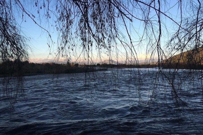 Une rivière aux branches pendantes, aux eaux calmes et dont la rive s’étend au loin. 5