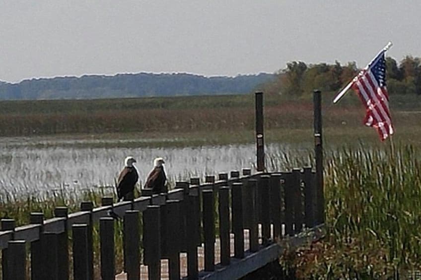90 minute Everglades Airboat Tour near Orlando Florida 2