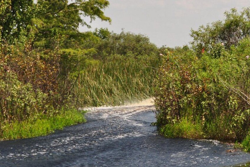 90 minute Everglades Airboat Tour near Orlando Florida 2