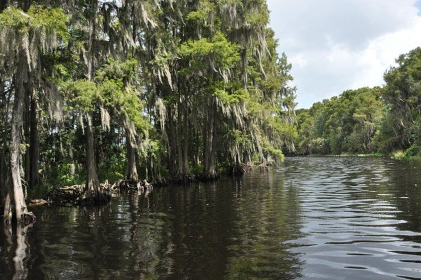 Heading to Shingle Creek 3