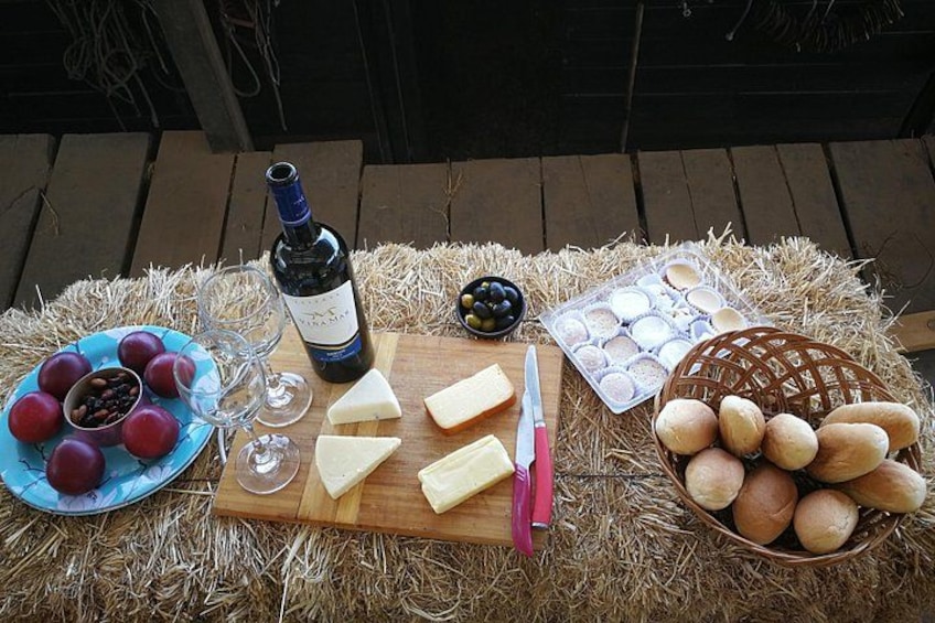 Gourmet picnic with wine 4