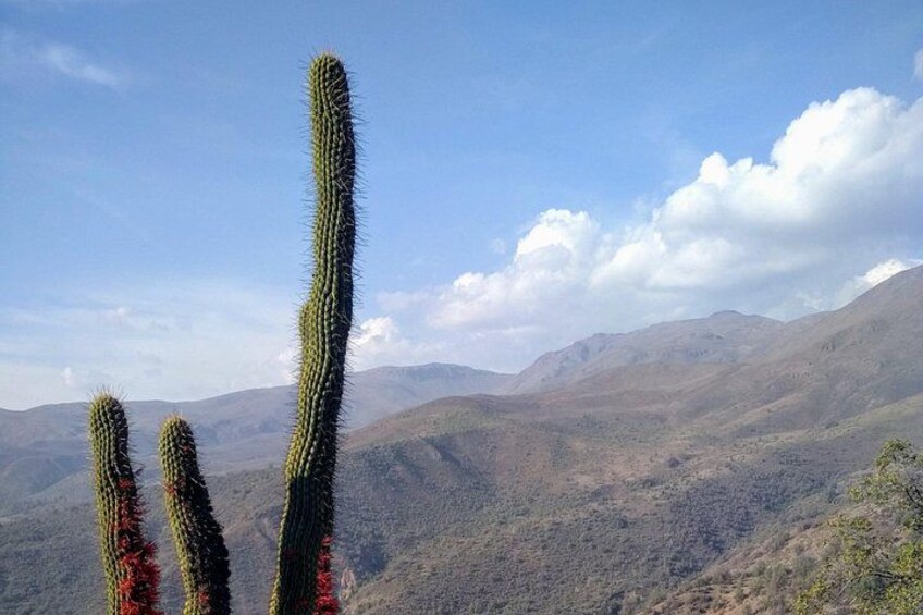Private Horseback Adventure in the Andes, with Picnic & Wine 2