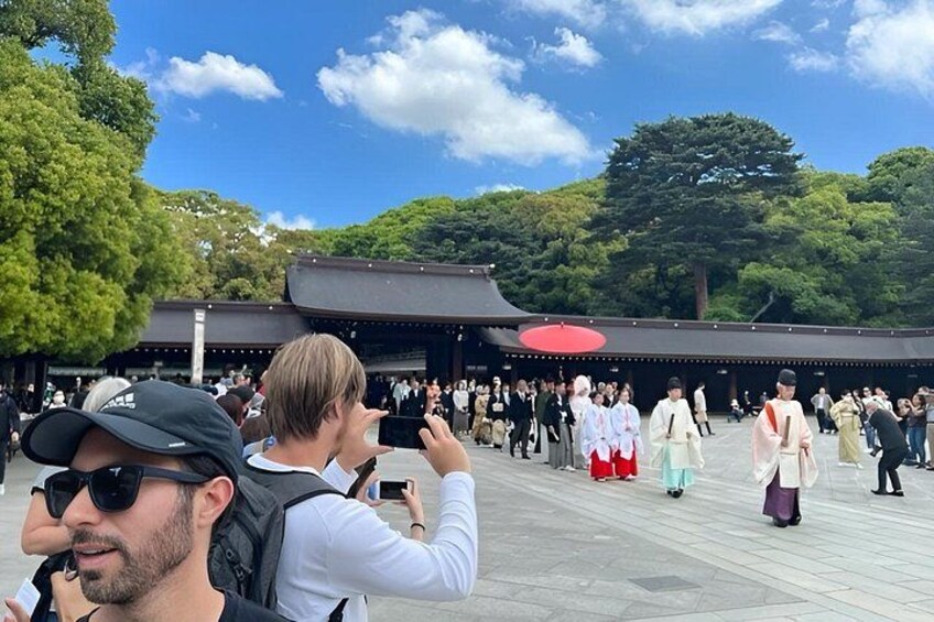 Tokyo Customized Private Tour in 1 Day with Licensed Guide 3