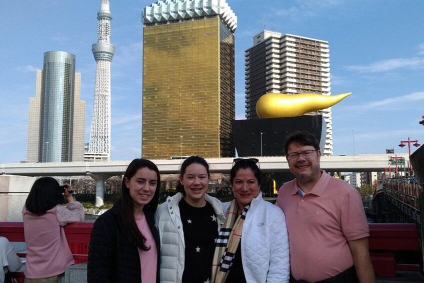 Tokyo Customized Private Tour in 1 Day with Licensed Guide 2