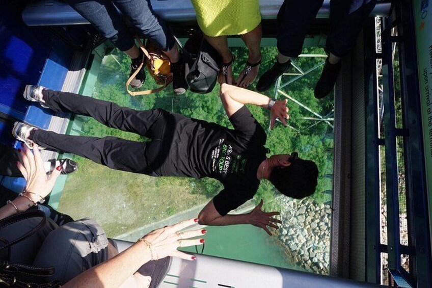 Having fun on the cable car journey in a crystal cabin 2