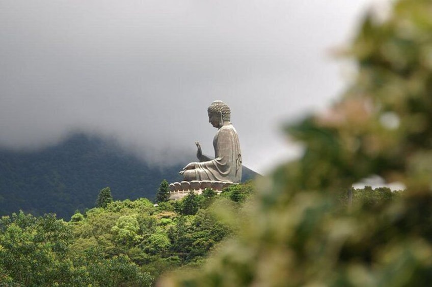 Une grande statue de Bouddha, située sur une colline, avec une forêt en arrière-plan. 1