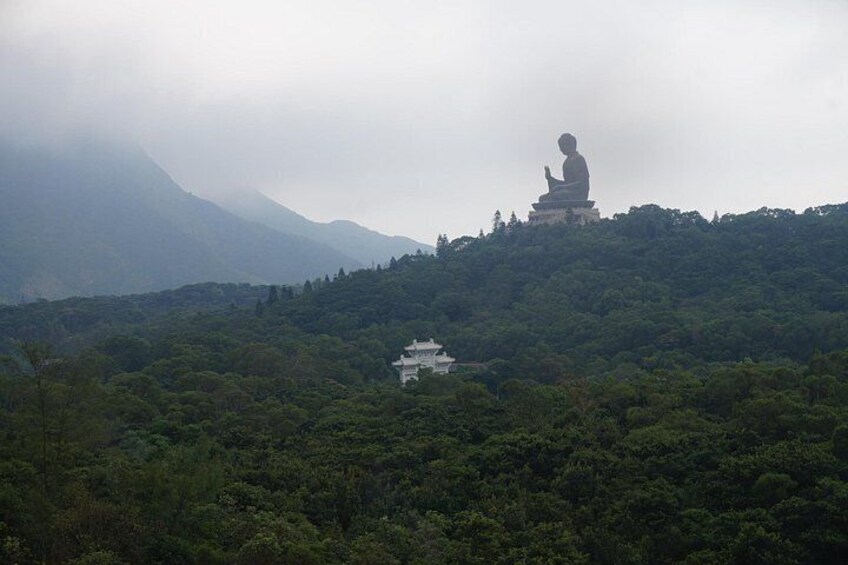 The Big Buddha from afar 4