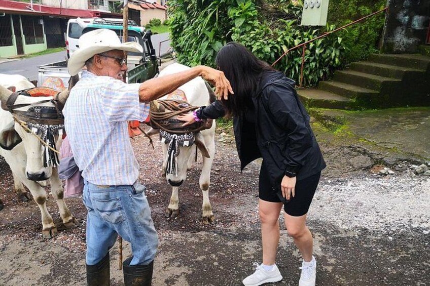 Combo tour Poas Volcano and La Paz waterfall and Coffee tour 2