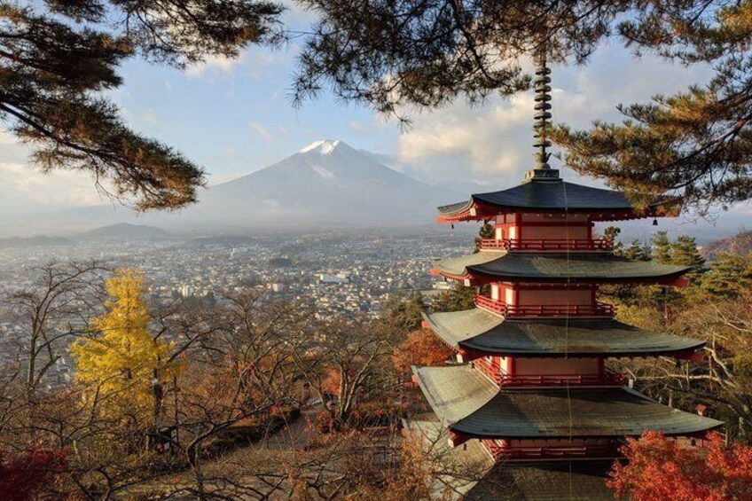 Mt Fuji Hidden Gem Custom Car Tour with Licensed Guide & Driver 2