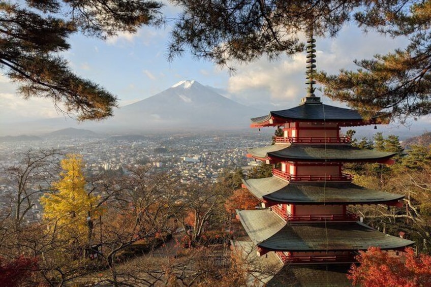 Mt Fuji Hidden Gem & Gotemba Premium Outlets with Local Driver 2