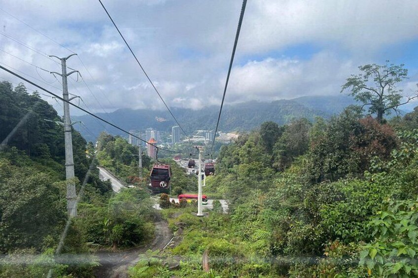 A cable car system, lush greenery, and distant buildings. 2