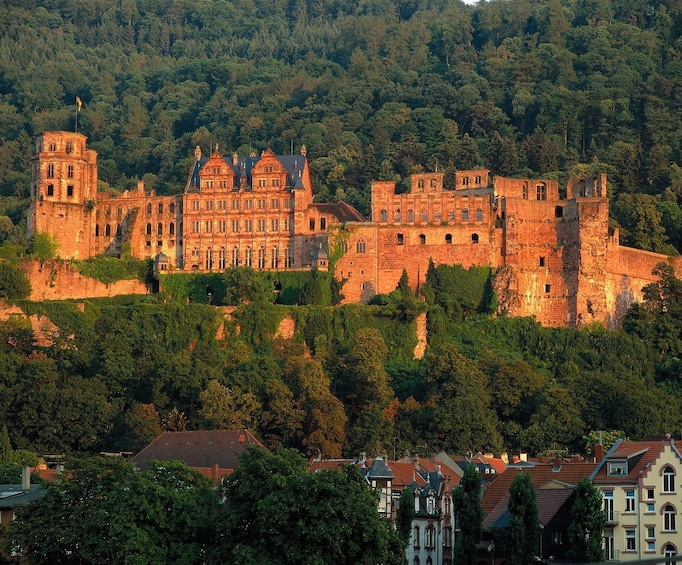 Private Heidelberg Castle Tour (1.5h with guide) 1