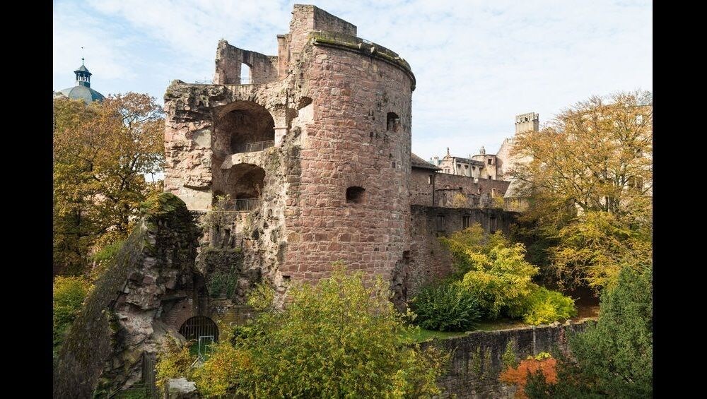 Private Heidelberg Castle Tour (1.5h with guide) 5