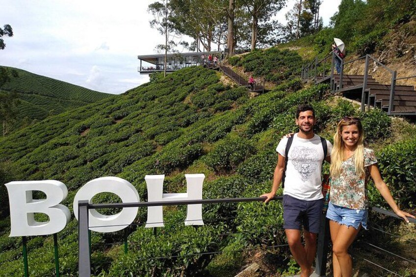 BOH Tea Plantation 3