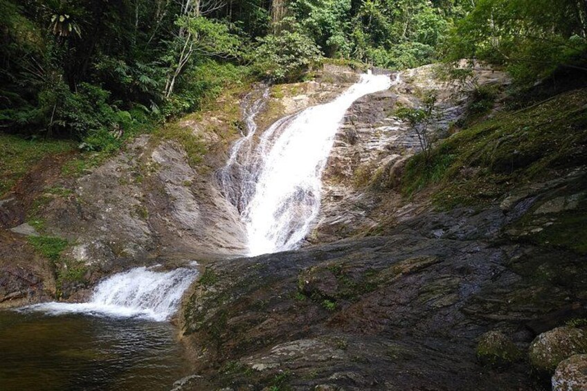 A waterfall cascading down a rocky slope surrounded by dense forest. 3