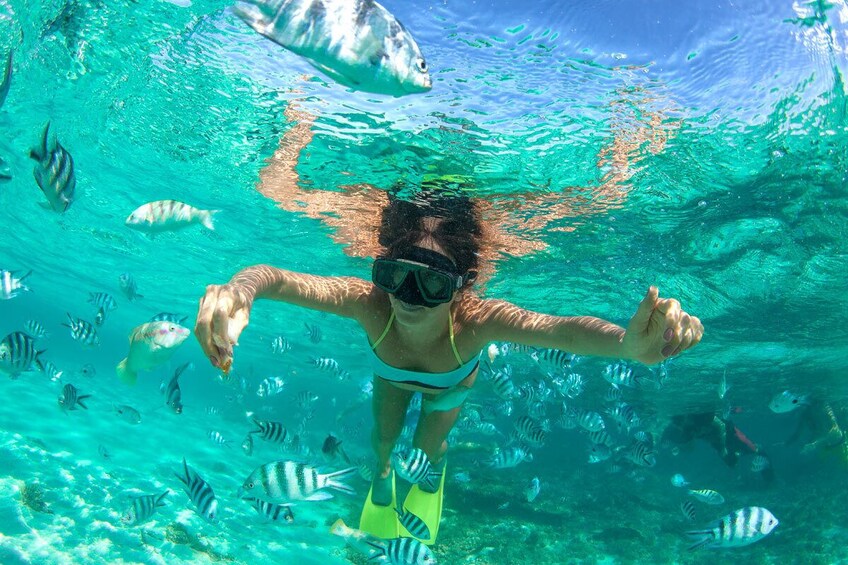 Bahamas Charter to Rose, Andros, Exuma or Eleuthera Island 