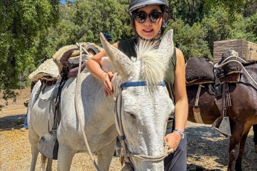A person riding a white donkey with a saddle, in a rural setting with trees and a dirt path. 4