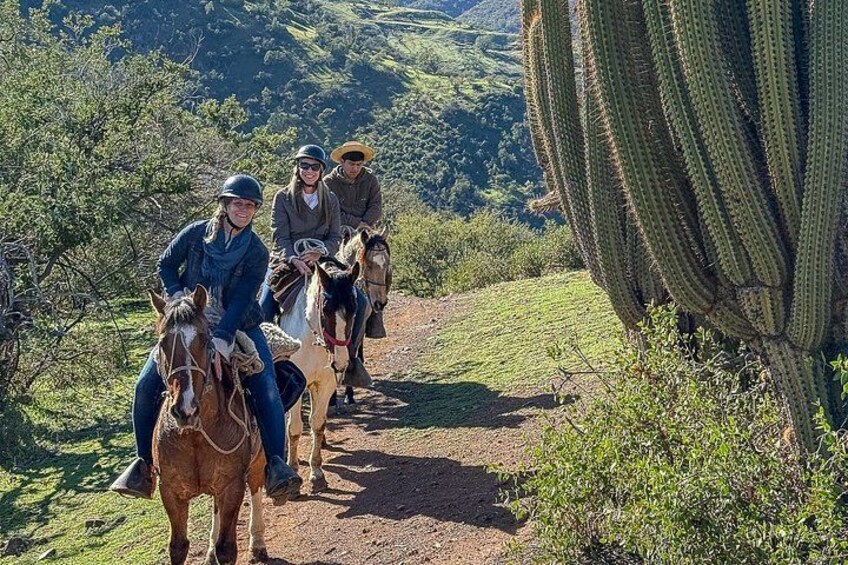 Andean Horseback Ride: Scenic Trails & Wine Picnic 2