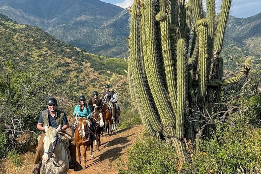 Andean Horseback Ride: Scenic Trails & Wine Picnic 1