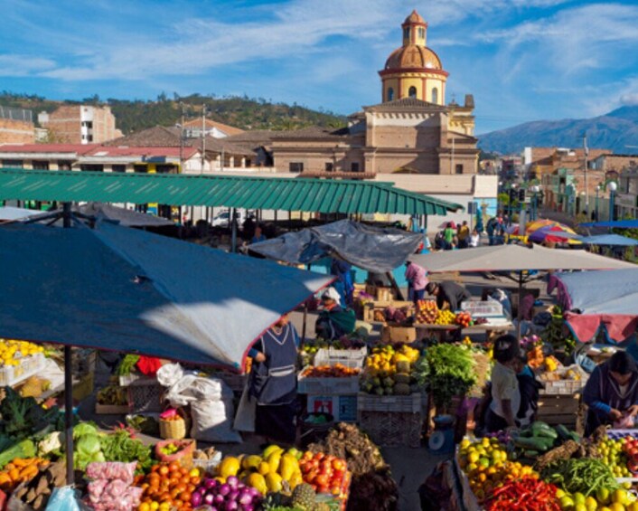 Private Tour: Otavalo Indigenous Market 