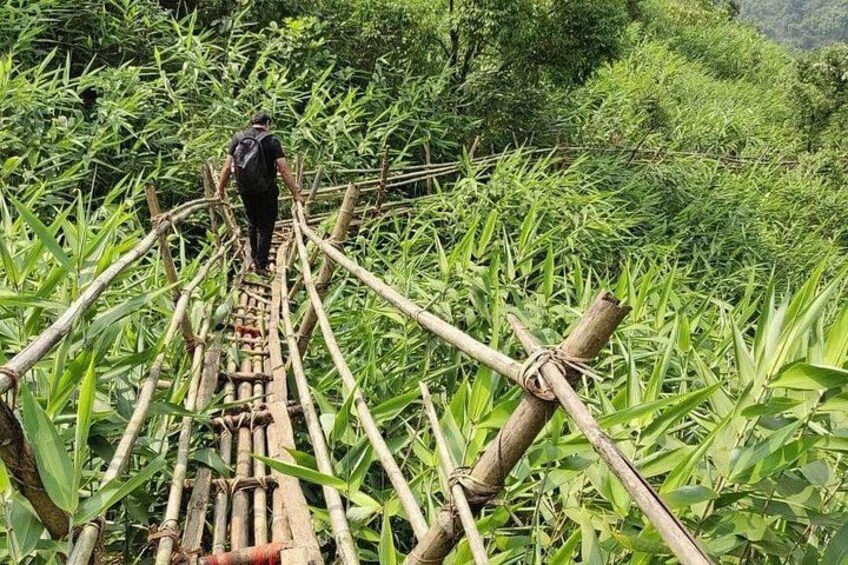 A person walking on a bamboo bridge in a lush green area. 5
