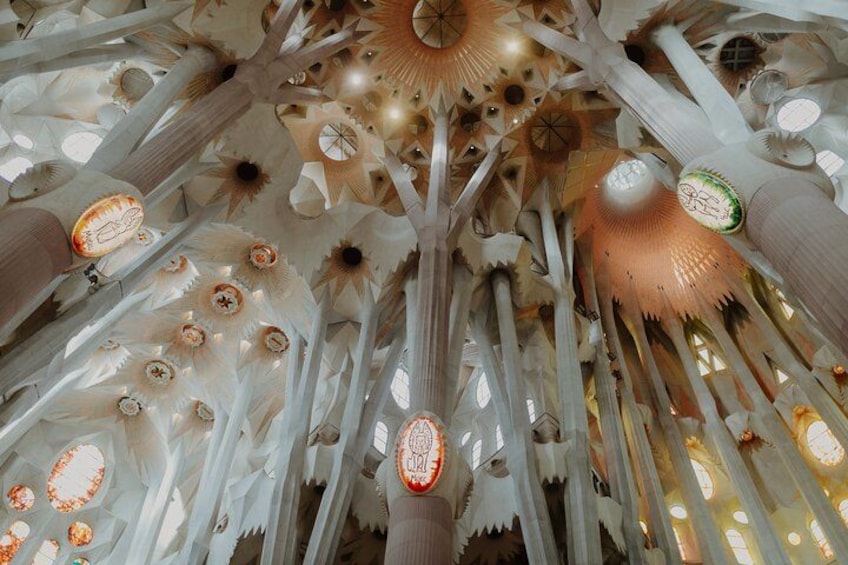 A ceiling with intricate, organic patterns and geometric shapes. 4