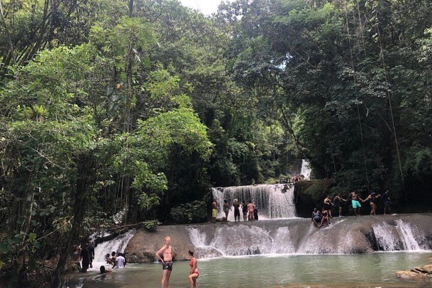 Black River Safari, YS Falls and Floyd's Pelican Bar