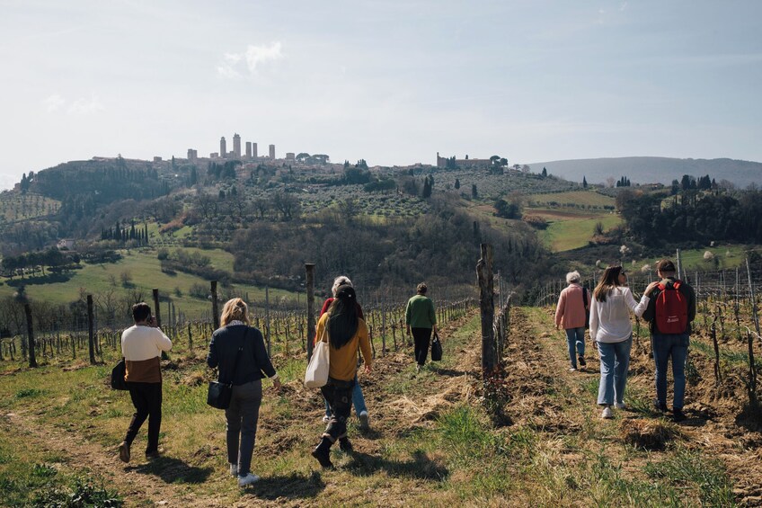 A group of people hiking on a hillside with vineyards and a distant cityscape. 1
