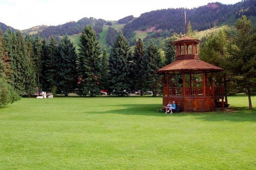 A gazebo in a grassy field with trees and mountains in the background. 1