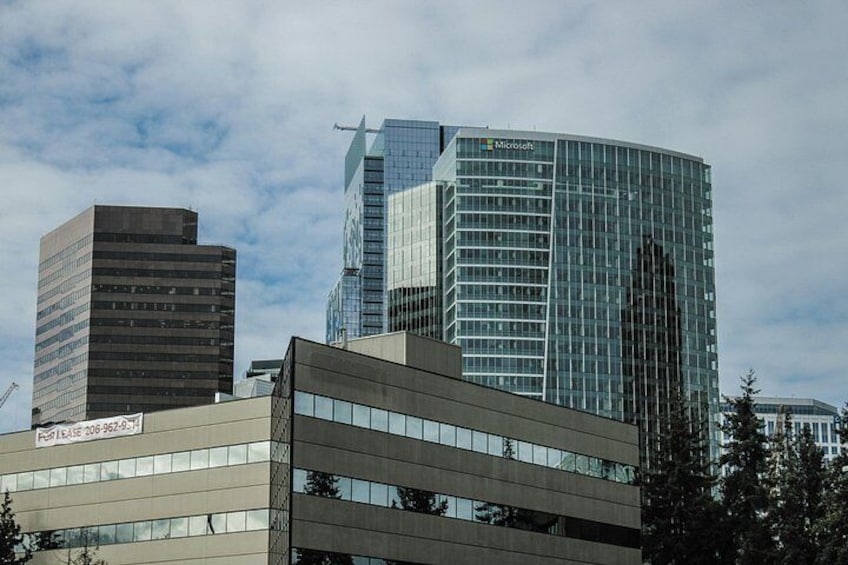 Awesome Scavenger Hunt: Beautiful Views of Bellevue 5
