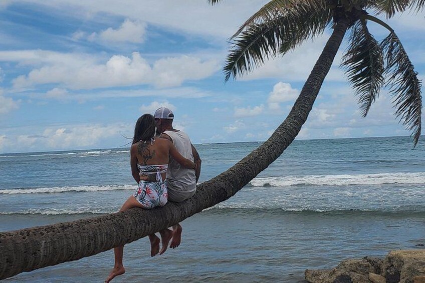 Lovers Tree on the Eastside .. Elf's Circle Island Tours 2