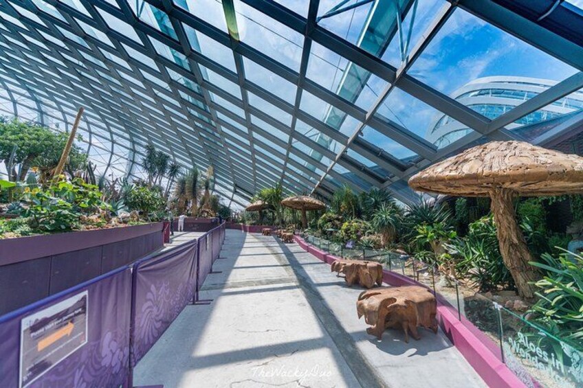 Gardens By the Bay Ticket & Transfer 2