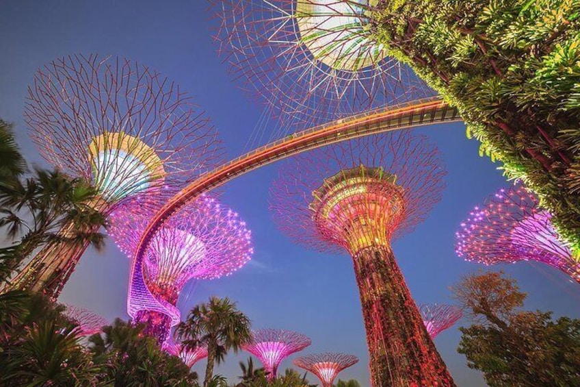 Gardens by the Bay 1