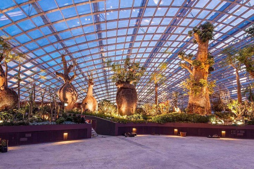 En stor indendørs botanisk have med glastag, store træer og mange forskellige planter. 3