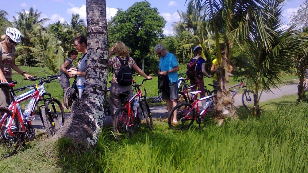 Lombok Cycling through Coffee, Cacao & Mangosteen Plantation